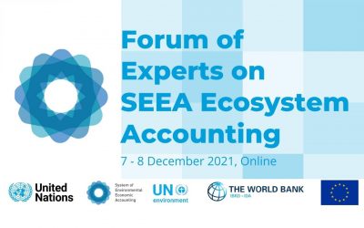 ARIES at the Forum of Experts on SEEA Ecosystem Accounting 2021