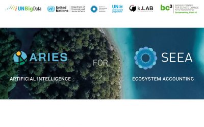 ARIES for SEEA is a Sector Hub of the UN Global Platform!