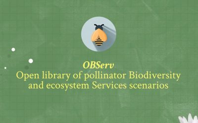 ARIES in OBServ: Empowering pollinator conservation and management